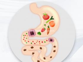 为什么一直推荐大家吃益生菌?七老益生菌日常必备