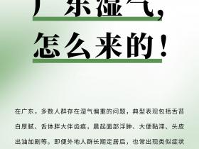 七老洪晴专业知识科普→湿气对皮肤有哪些影响?