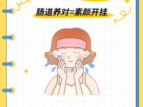七老益生菌,护肤先养护肠道,女生必备多补充益生菌