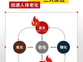 七老洪晴专业知识科普→氧化糖化发炎三大反应加入人体衰老老化