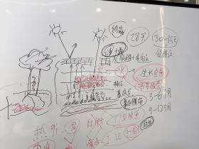七老胶原水光→皮肤修护遇到瓶颈你就试试它