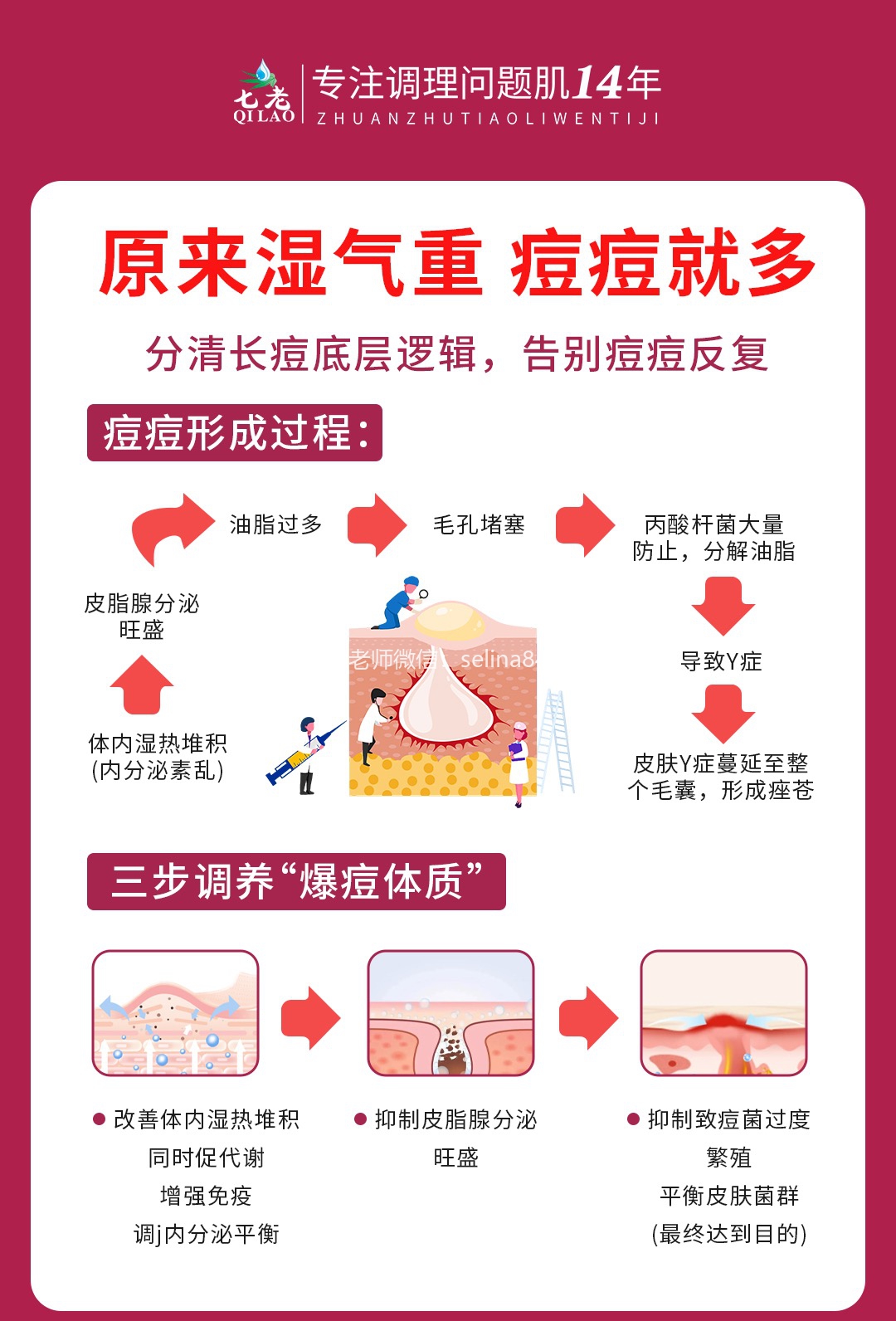 七老洪晴专业知识科普→湿气重痘痘多，如何调养爆痘体质呢？