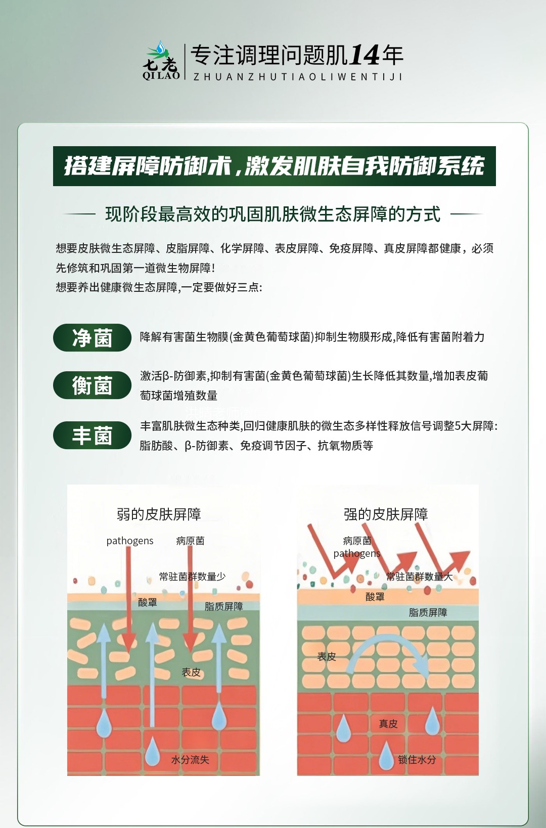 皮肤菌群平衡才能更健康→色沉，疹子，痘痘
