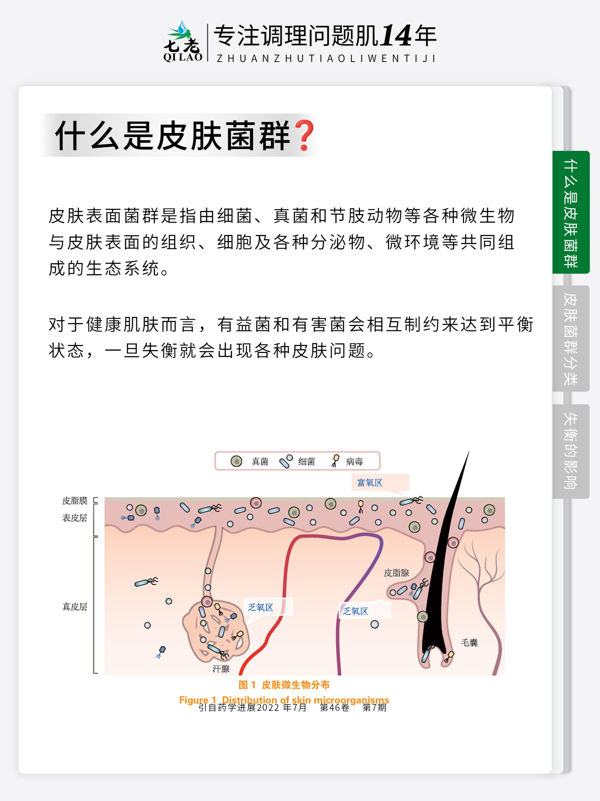 七老净肌祛痘系列→为什么你的痘痘总是反反复复