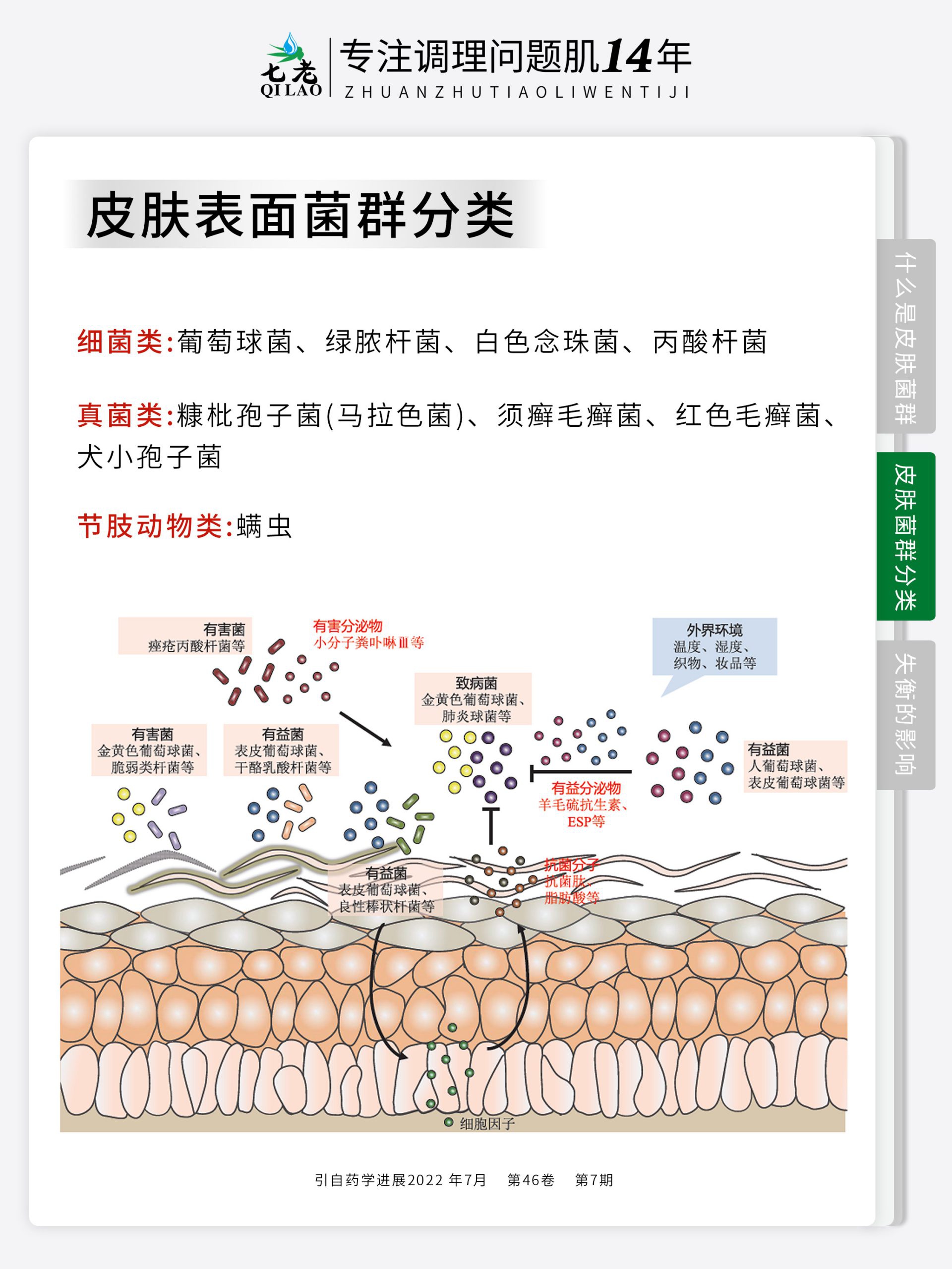 七老净肌祛痘系列→为什么你的痘痘总是反反复复