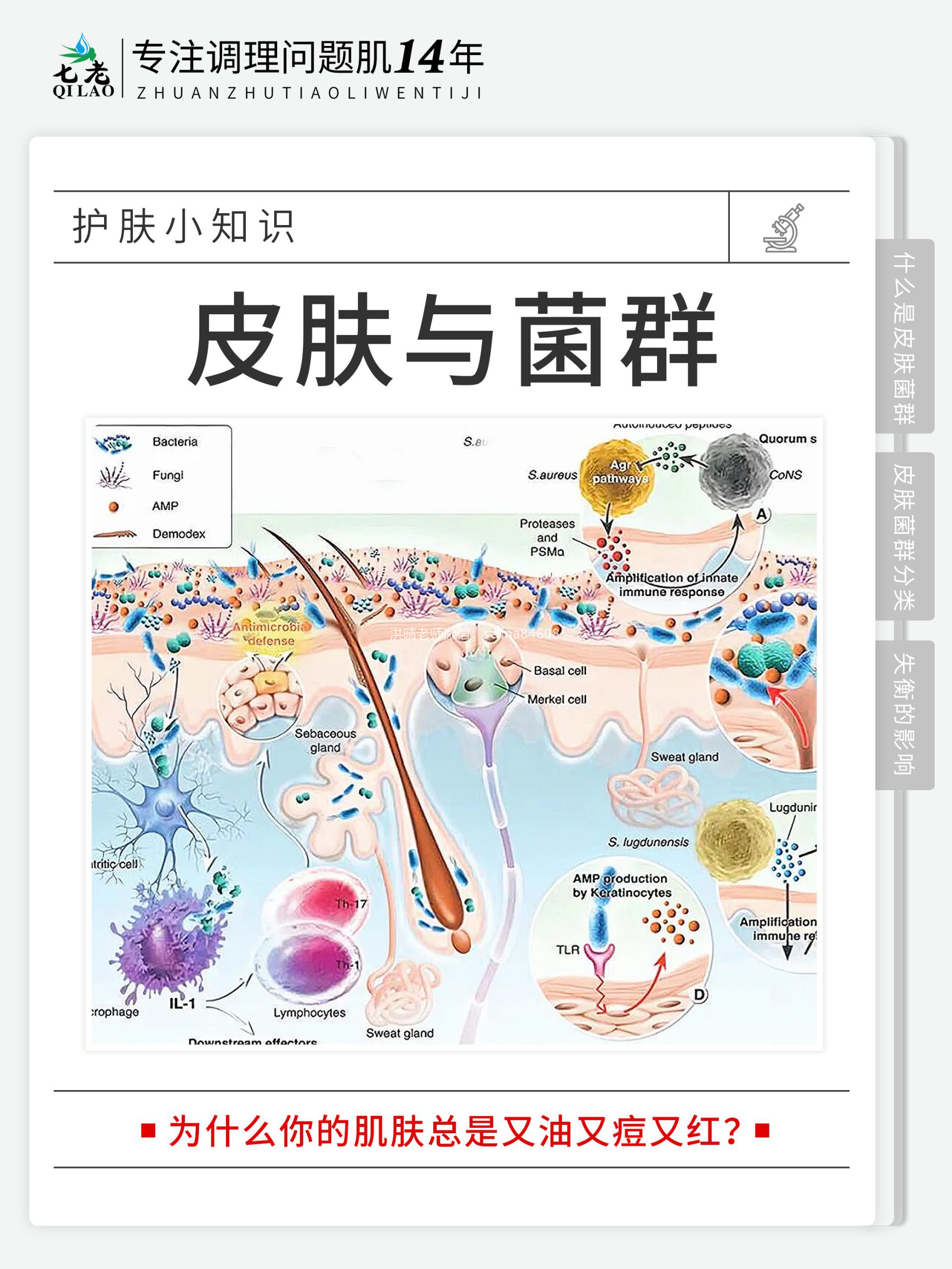 七老净肌祛痘系列→为什么你的痘痘总是反反复复