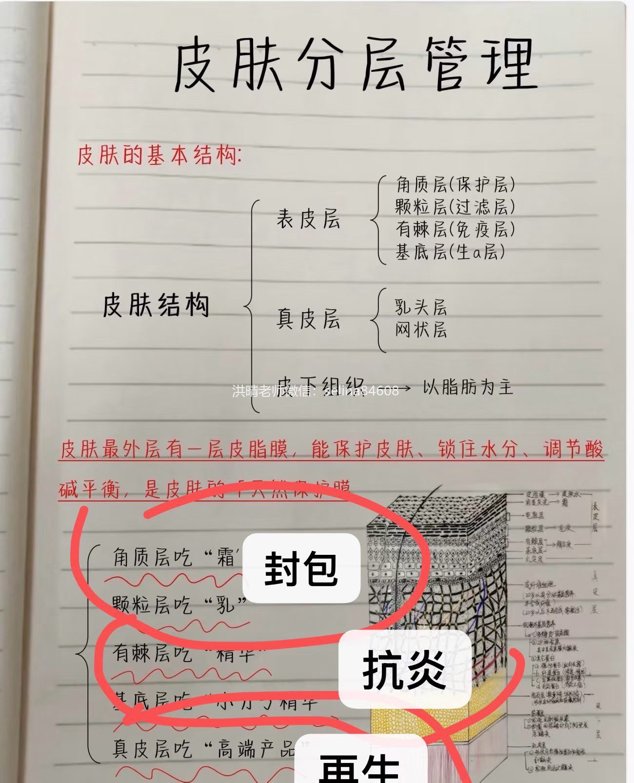 七老激素脸，玫瑰皮，脂皮，皮肤修护过程中为什么让你一定要抗炎，调理内在的慢性炎症水平
