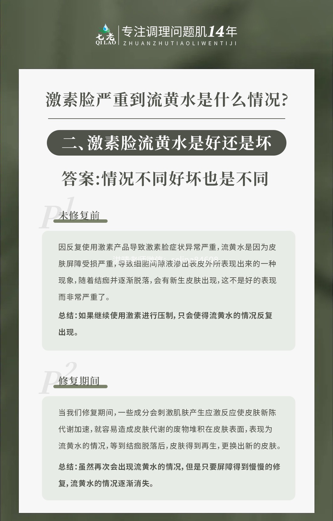 七老洪晴专业知识科普