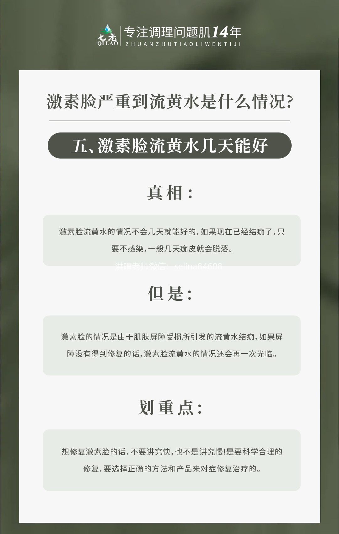 七老洪晴专业知识科普