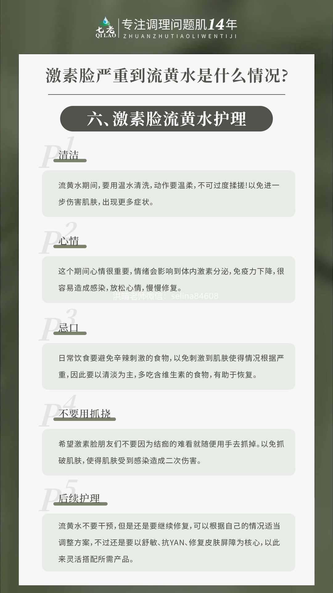 七老洪晴专业知识科普
