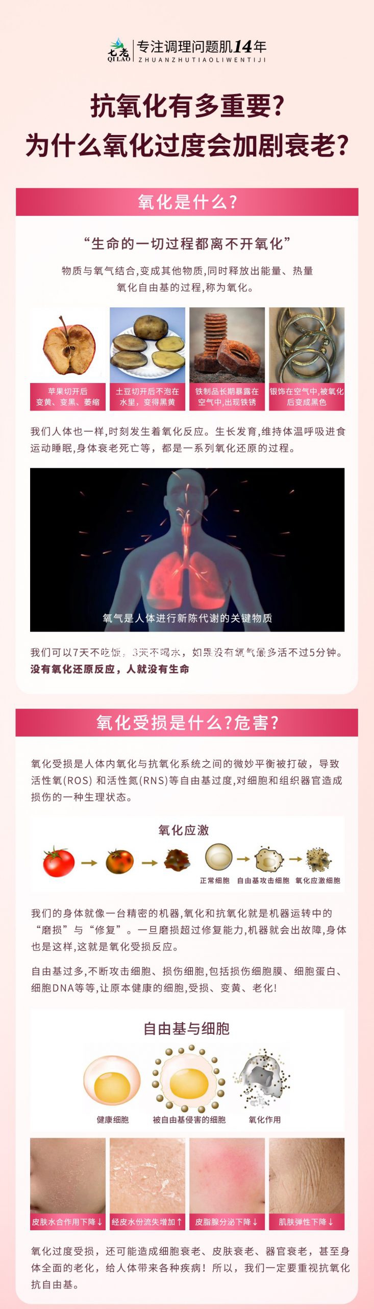 七老洪晴专业知识科普→为什么我们皮肤需要抗氧化？