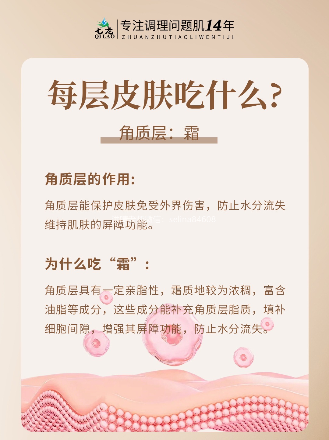 七老洪晴专业知识科普→皮肤每个层面需要吸收的东西不一样，为什么要水乳霜精华成套护肤？