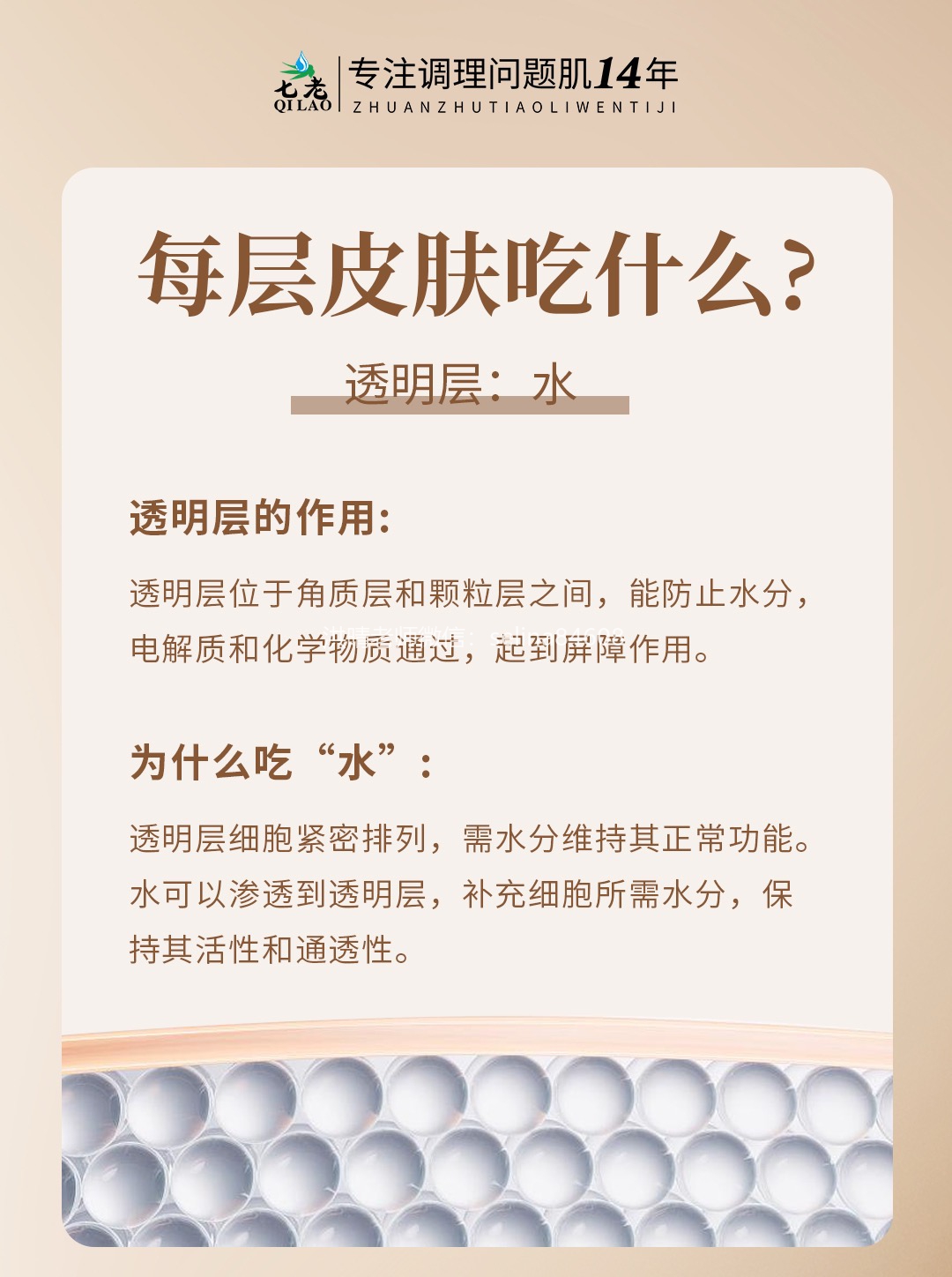 七老洪晴专业知识科普→皮肤每个层面需要吸收的东西不一样，为什么要水乳霜精华成套护肤？