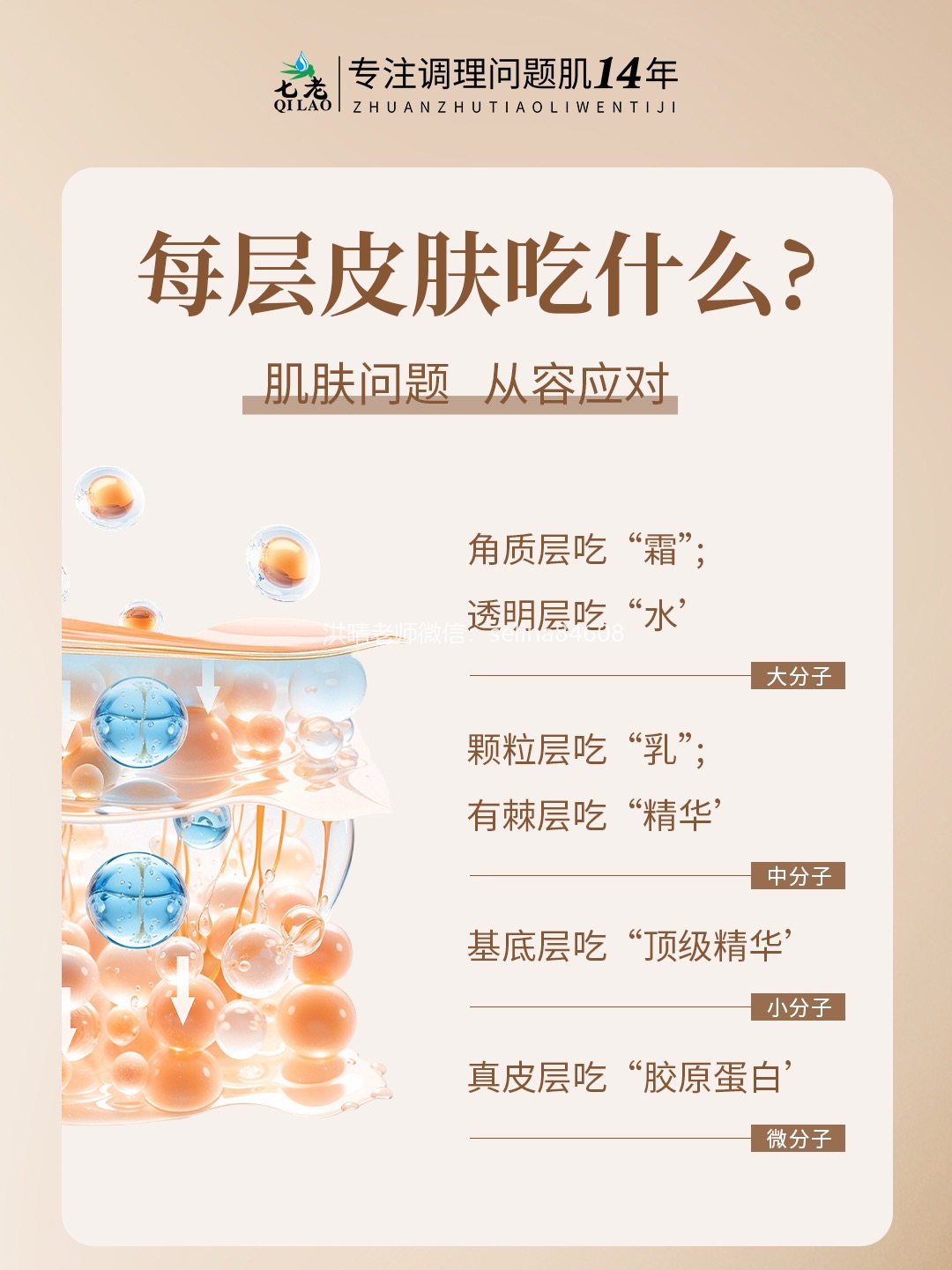 七老洪晴专业知识科普→皮肤每个层面需要吸收的东西不一样，为什么要水乳霜精华成套护肤？