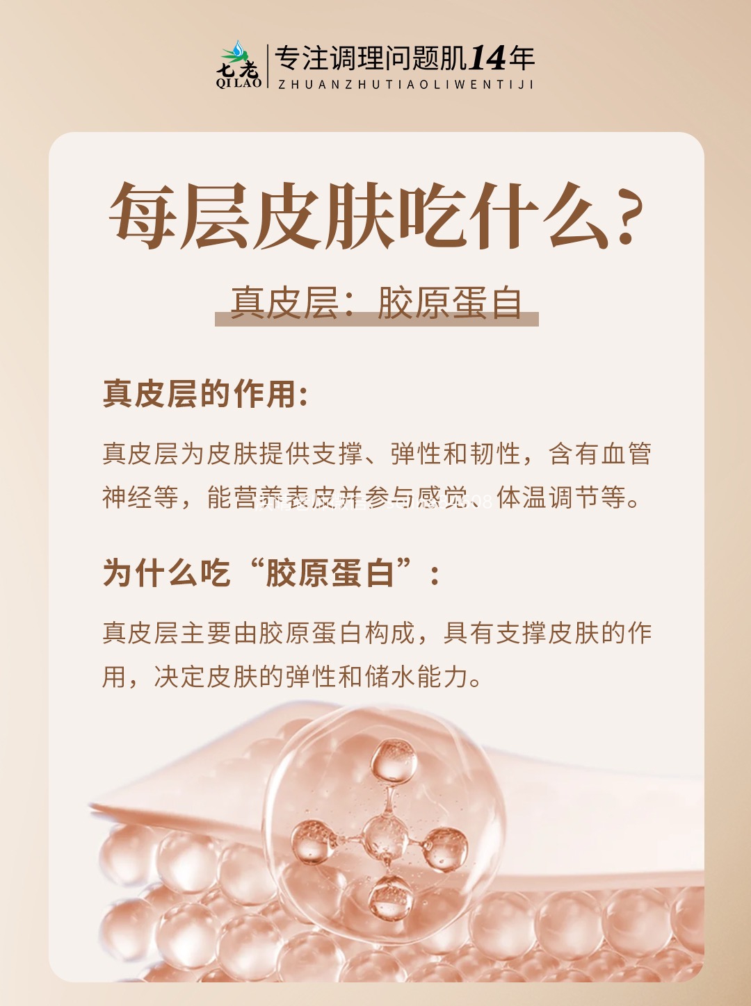 七老洪晴专业知识科普→皮肤每个层面需要吸收的东西不一样，为什么要水乳霜精华成套护肤？