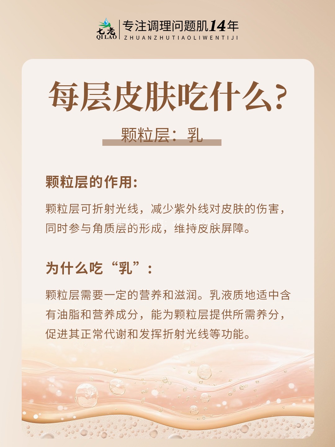 七老洪晴专业知识科普→皮肤每个层面需要吸收的东西不一样，为什么要水乳霜精华成套护肤？