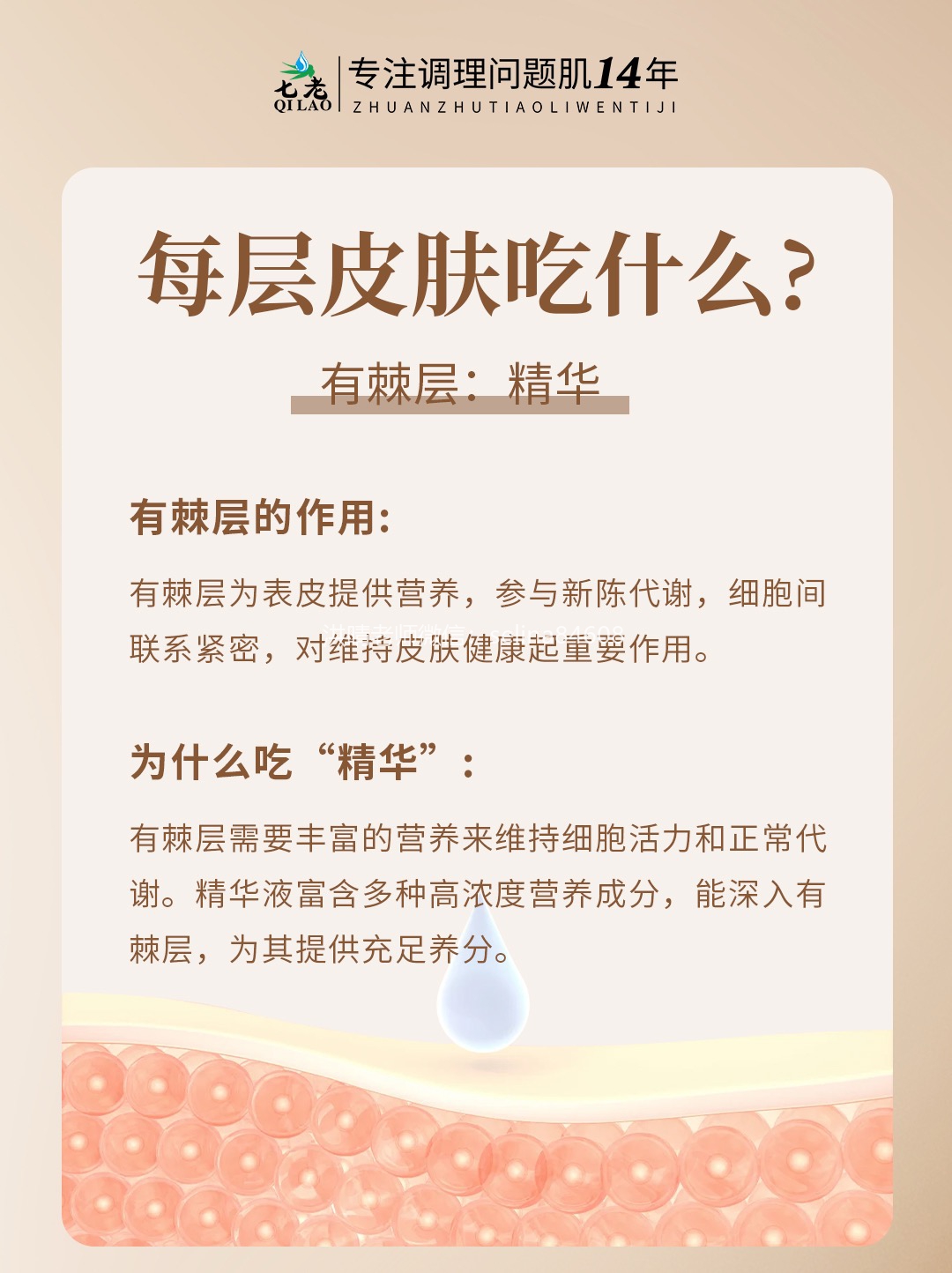七老洪晴专业知识科普→皮肤每个层面需要吸收的东西不一样，为什么要水乳霜精华成套护肤？
