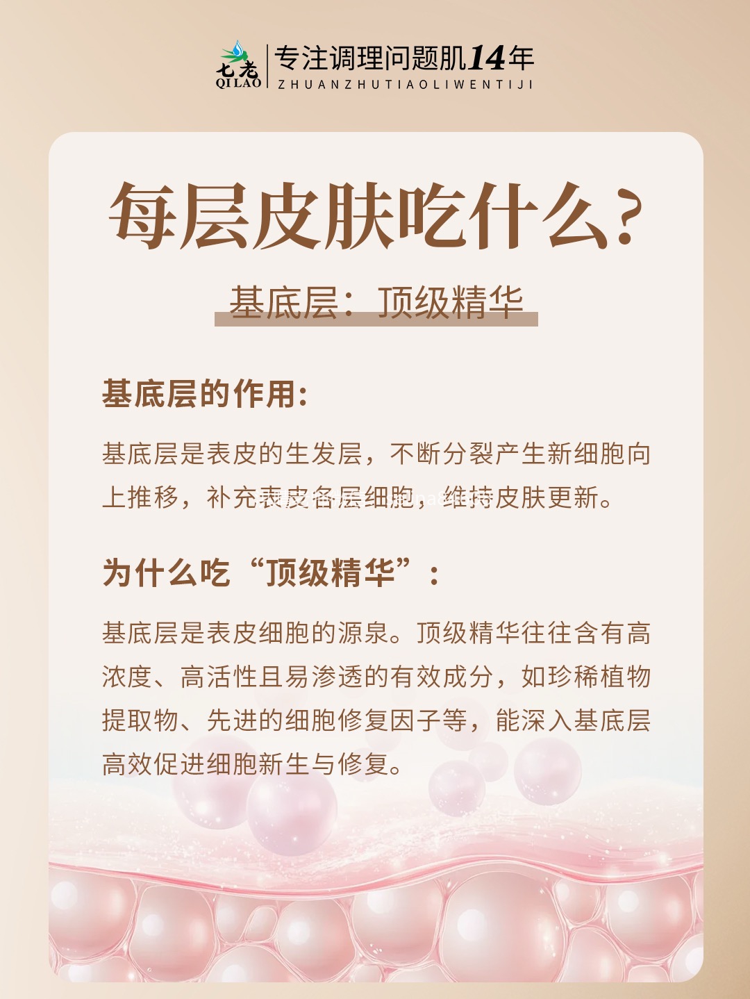 七老洪晴专业知识科普→皮肤每个层面需要吸收的东西不一样，为什么要水乳霜精华成套护肤？