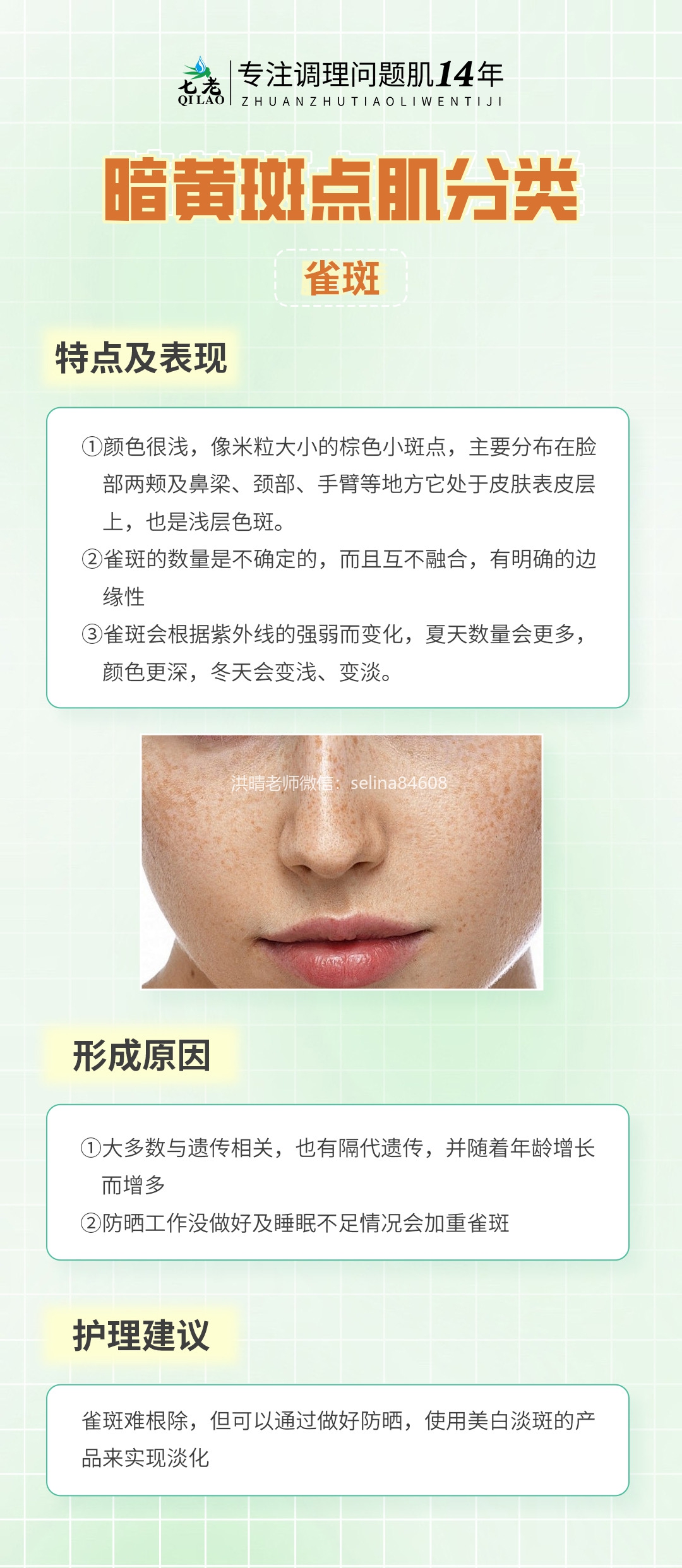 七老洪晴专业知识科普